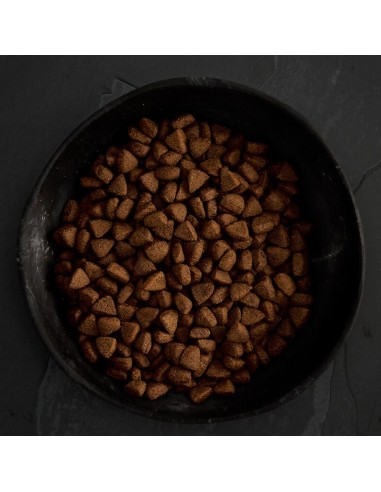 CANAGAN POLLO CAMPERO PARA PERROS 2 KG 12 KG 6 KG - 4