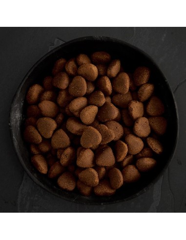 CANAGAN POLLO CAMPERO PARA PERROS DE RAZAS GRANDES 2 KG 12 KG - 2