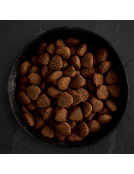 CANAGAN POLLO CAMPERO PARA PERROS DE RAZAS GRANDES 2 KG 12 KG - 2