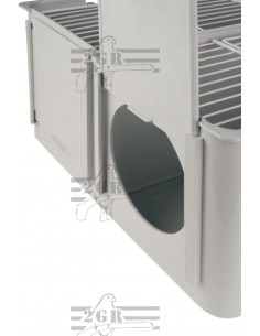 2G-R TRANSPORTIN TINO  2