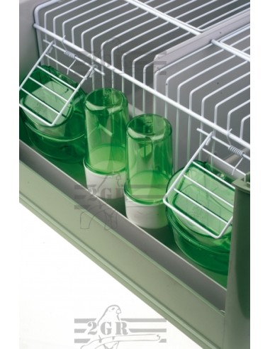 2G-R TRANSPORTIN TINO  - 3