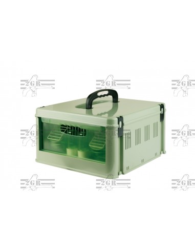 2G-R TRANSPORTIN TINO  - 4