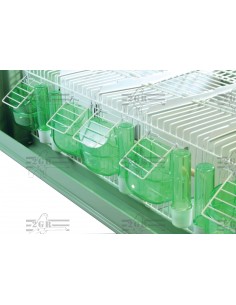 2G-R TRANSPORTIN MAXI TINO COLECTIVO  2