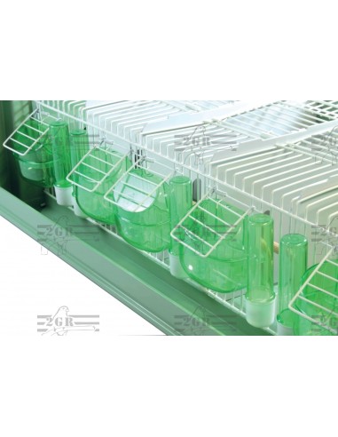 2G-R TRANSPORTIN MAXI TINO COLECTIVO  - 2