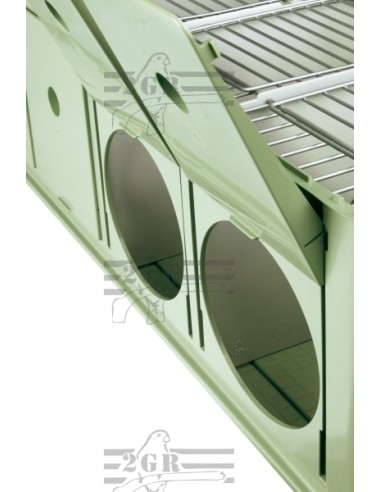 2G-R TRANSPORTIN MAXI TINO COLECTIVO  - 3