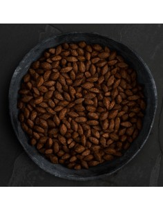 CANAGAN PROTEÍNA DE INSECTOS PARA PERROS 5 KG 10 KG 1 5 KG - 2 2