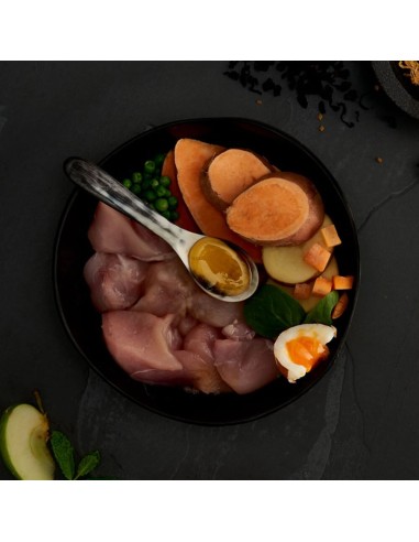 CANAGAN POLLO CAMPERO PARA PERROS DE RAZAS GRANDES 2 KG 12 KG - 3