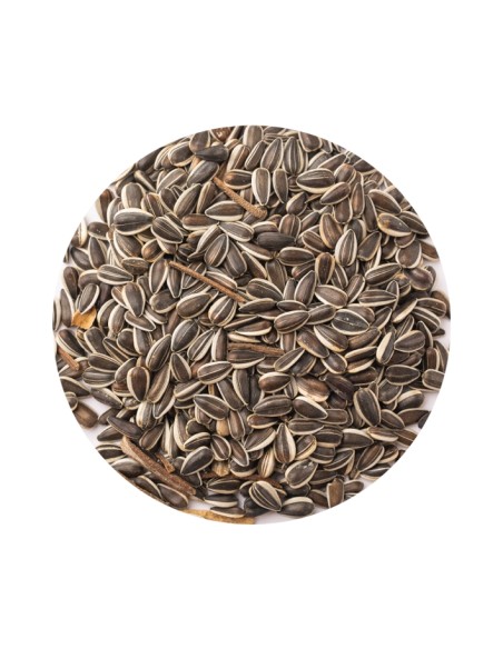 PET CUP PIPA IREGUI RAYADA - 20 KG 20 KG