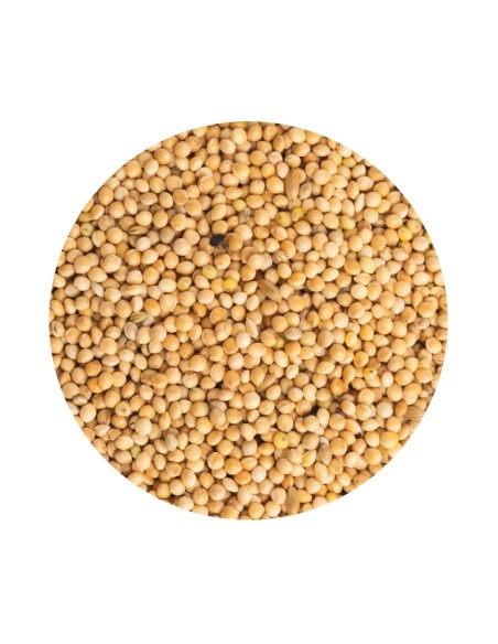 PET CUP MIJO BLANCO - 20 KG 20 KG