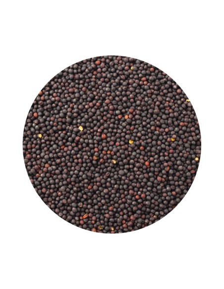 PET CUP COLZA - 20 KG 20 KG