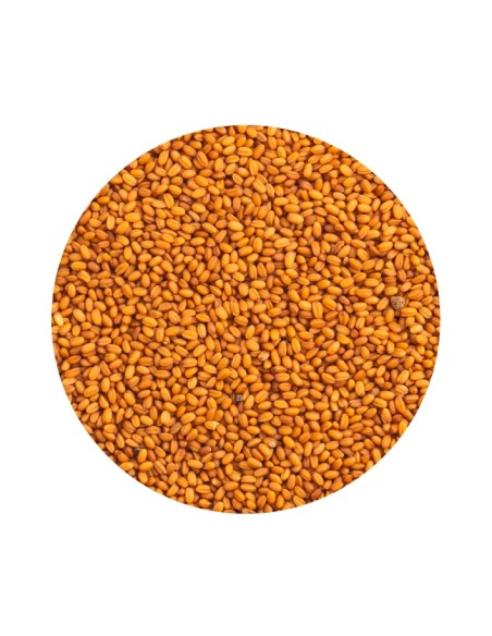PET CUP CAMELINA - 2 KG 2 KG