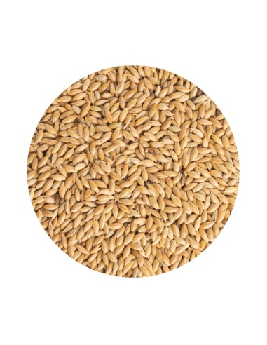 PET CUP ALPISTE - 20 KG 20 KG