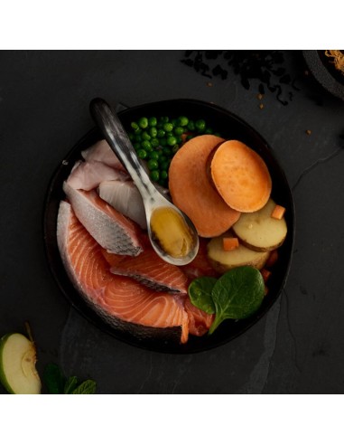 CANAGAN SALMÓN ESCOCÉS PARA PERROS DE RAZAS PEQUEÑAS 2 KG 6 KG - 3