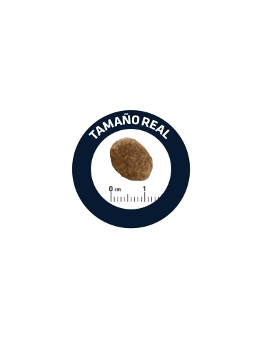 AFFINITY ADVANCE ADVANCE VETERINARY DIETS URINARY GATOS 400 GR - 2