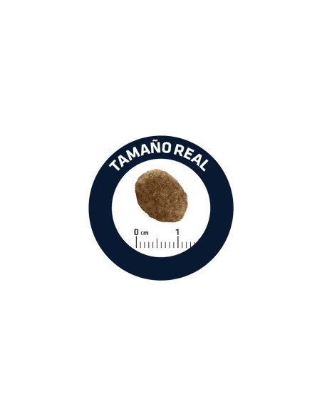 AFFINITY ADVANCE ADVANCE VETERINARY DIETS URINARY GATOS 400 GR - 2