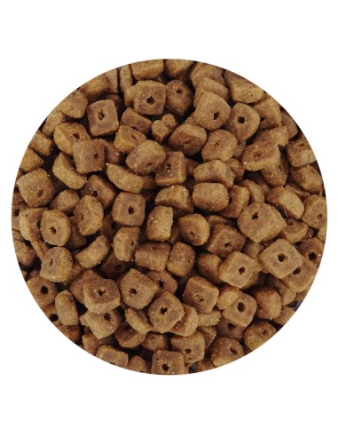 PET CUP GATOS ESTERILIZADOS 3 KG 10 KG 1 KG