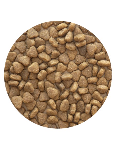 PET CUP CORDERO - 14 KG 14 KG