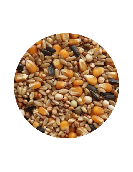 PET CUP MIXTURA PALOMOS BASIC - 25 KG 25 KG