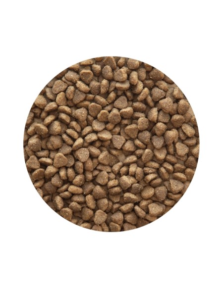 PET CUP ADULT MINI PREMIUM 3 KG 14 KG