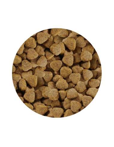 PET CUP ADULT PREMIUM SALMON 3 KG 14 KG