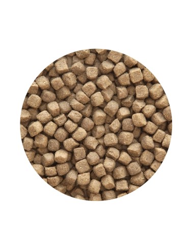 PET CUP ADULT PREMIUM POLLO - 14 KG 14 KG