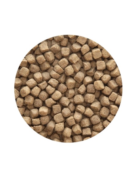 PET CUP ADULT PREMIUM POLLO - 14 KG 14 KG