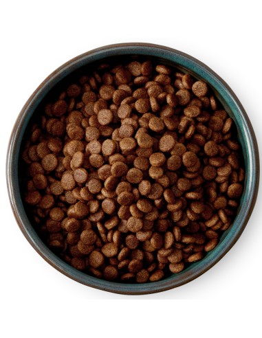 MCADAMS POLLO CAMPERO Y SALMÓN PARA PERROS DE RAZAS PEQUEÑAS 5 KG 2 KG - 2