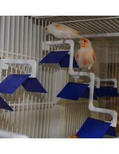 MOLDES AVE POSADERA MADEIRA 3 PUESTOS  2