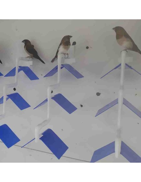 MOLDES AVE POSADERA MADEIRA 3 PUESTOS  - 3