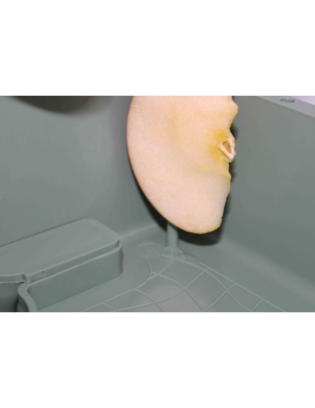 MOLDES AVE TRASNPORTÍN EL ARCA  - 3