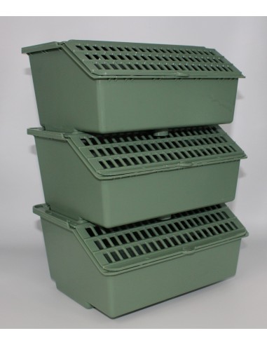 MOLDES AVE TRASNPORTÍN EL ARCA  - 4