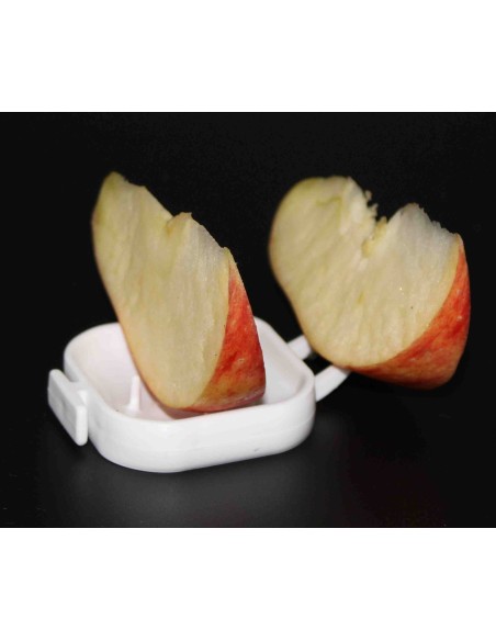 MOLDES AVE FRUTERO FLOREN  - 4