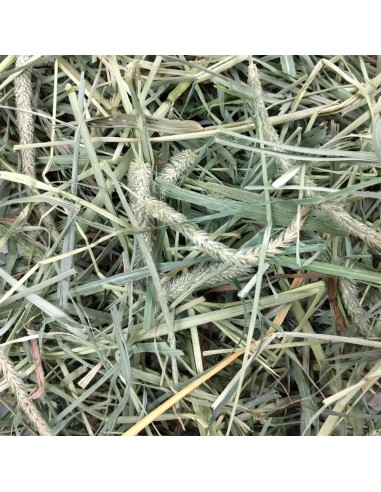 OXBOW HENO BLEND TIMOTY + HUERTO 425 GR 1 13 KG 2 55 KG - 2