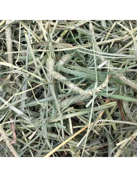 OXBOW HENO BLEND TIMOTY + HUERTO 425 GR 1 13 KG 2 55 KG - 2