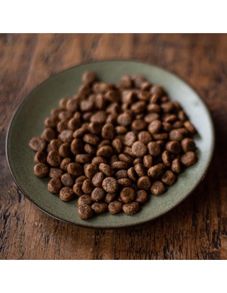 MCADAMS POLLO Y PAVO CAMPEROS PARA GATOS Y GATITOS 1 5 KG 375 GR 3 75 KG - 3