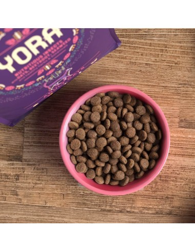 YORA PIENSO DE INSECTOS PARA GATOS ADULTOS 1 5 KG 375 GR 3 75 KG - 3