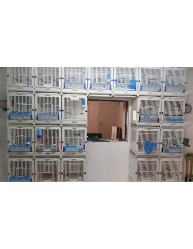 MOLDES AVE JAULA MÓDULO MA - 34,5 X 35 X 43 CM BLANCO 34 5 X 35 X 43 CM - 10