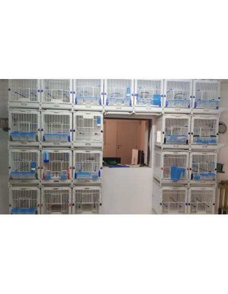 MOLDES AVE JAULA MÓDULO MA - 34,5 X 35 X 43 CM BLANCO 34 5 X 35 X 43 CM - 10