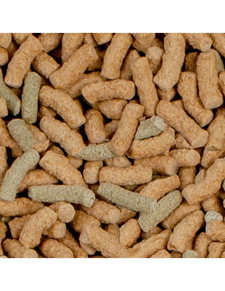 SERA RAFFY P NATURE 250 ML (55 GR) - 3