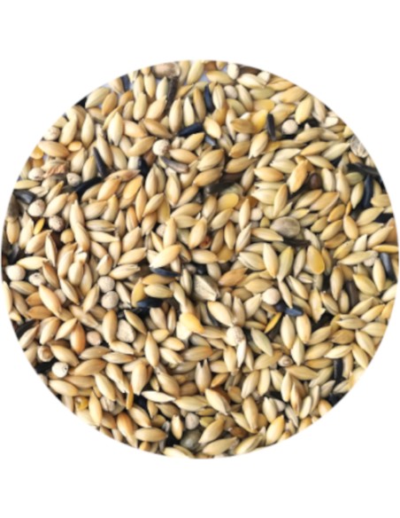 PET CUP MIXTURA CANARIOS ELITE SIN AVENA - 20 KG 20 KG