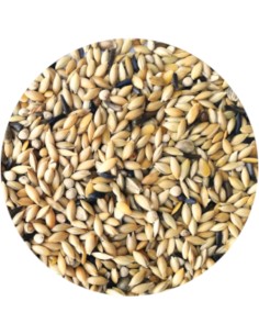 PET CUP MIXTURA CANARIOS ELITE SIN AVENA - 4 KG 4 KG 2