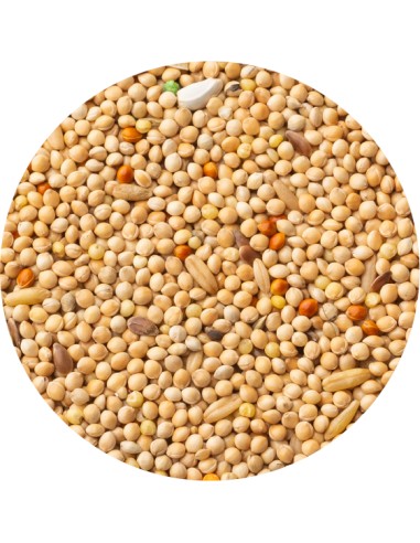 PET CUP MIXTURA PERIQUITOS CLASSIC - 4 KG 4 KG