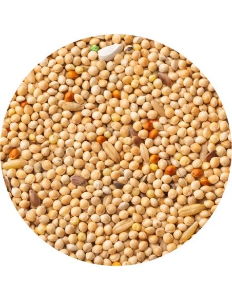 PET CUP MIXTURA PERIQUITOS CLASSIC - 4 KG 4 KG