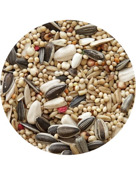 PET CUP MIXTURA PSITACIDOS STANDARD 4 KG 850 GR