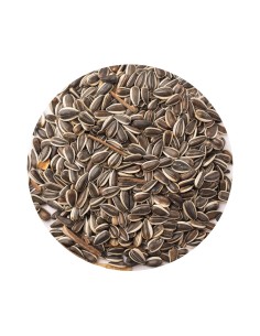 PET CUP PIPA IREGUI RAYADA 1 KG (GRANEL)