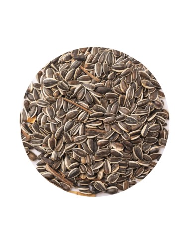 PET CUP PIPA IREGUI RAYADA 1 KG (GRANEL)