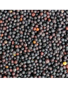 GALIAN COGASA NABINA NEGRA GALIAN 5 KG 800 GR - 2