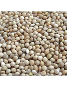 GALIAN COGASA MIJO BLANCO GALIAN - 1 KG 1 KG - 2