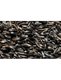 GALIAN COGASA NEGRILLO GALIAN 900 GR 4 5 KG - 2