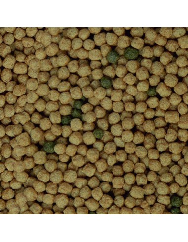 SERA RAFFY BABY-GRAN NATURE - 100 ML (30 GR) 100 ML (30 GR) - 3